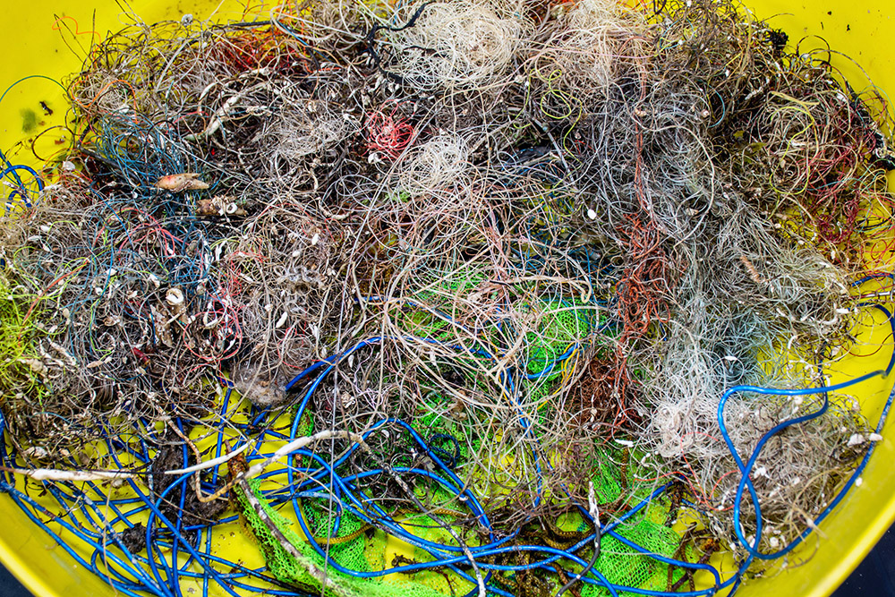 waterfront angling ear clean up